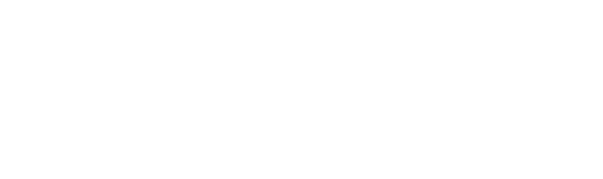 AdyFly